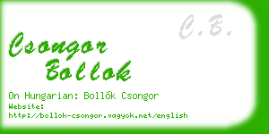 csongor bollok business card